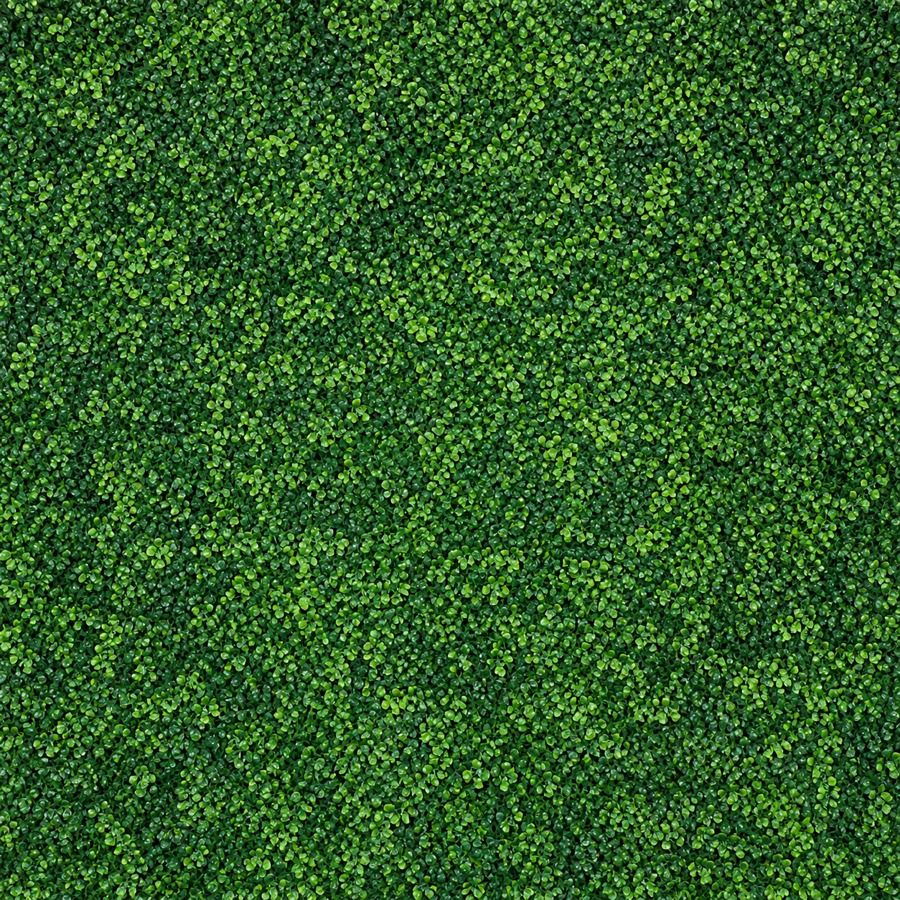 Green hedge backdrop texture